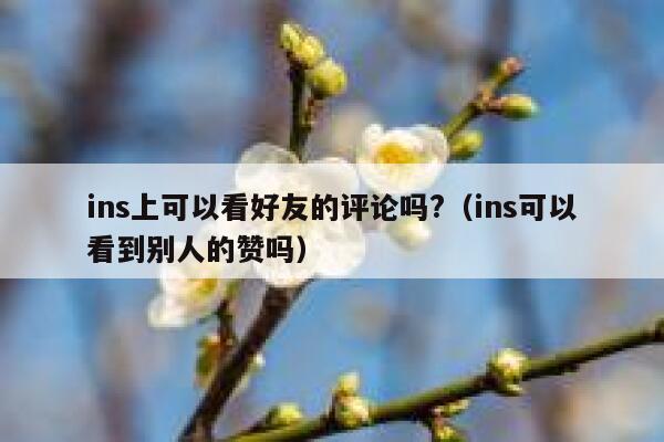ins上可以看好友的评论吗?（ins可以看到别人的赞吗） 第1张