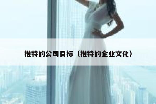 推特的公司目标(推特的企业文化) 第1张 推特的公司目标(推特的企业文化) 第1张