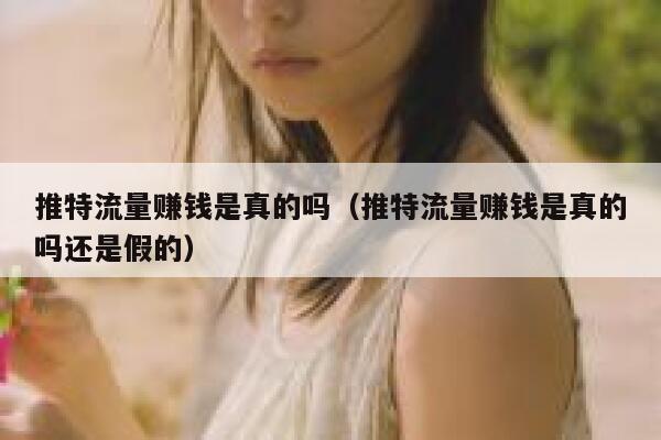 推特流量赚钱是真的吗（推特流量赚钱是真的吗还是假的） 第1张