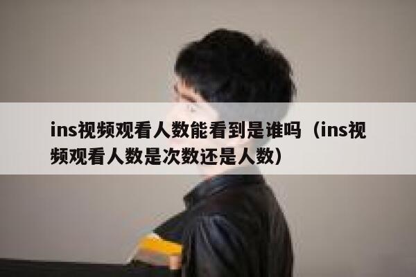 ins视频观看人数能看到是谁吗（ins视频观看人数是次数还是人数） 第1张