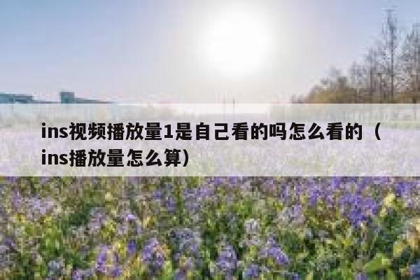 ins视频播放量1是自己看的吗怎么看的(ins播放量怎么算) 第1张 ins视频播放量1是自己看的吗怎么看的(ins播放量怎么算) 第1张