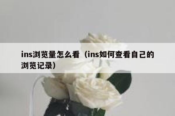 ins浏览量怎么看（ins如何查看自己的浏览记录） 第1张