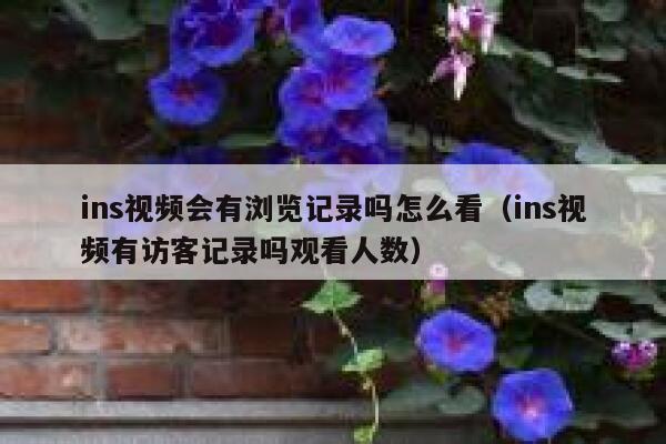 ins视频会有浏览记录吗怎么看(ins视频有访客记录吗观看人数) 第1张 ins视频会有浏览记录吗怎么看(ins视频有访客记录吗观看人数) 第1张