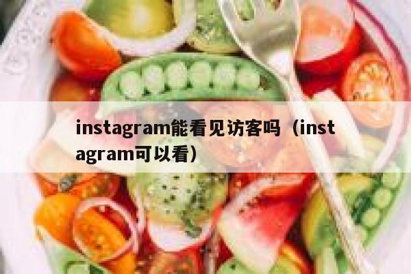instagram能看见访客吗（instagram可以看） 第1张