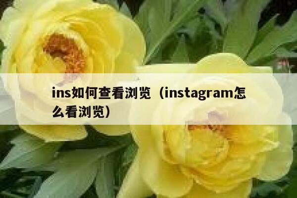 ins如何查看浏览(instagram怎么看浏览) 第1张 ins如何查看浏览(instagram怎么看浏览) 第1张