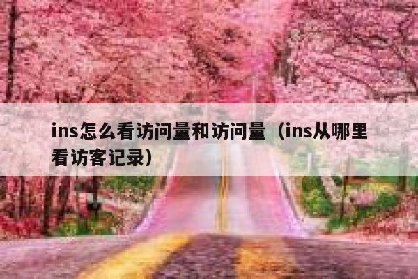 ins怎么看访问量和访问量(ins从哪里看访客记录) 第1张 ins怎么看访问量和访问量(ins从哪里看访客记录) 第1张