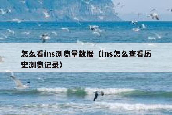 怎么看ins浏览量数据（ins怎么查看历史浏览记录） 第1张