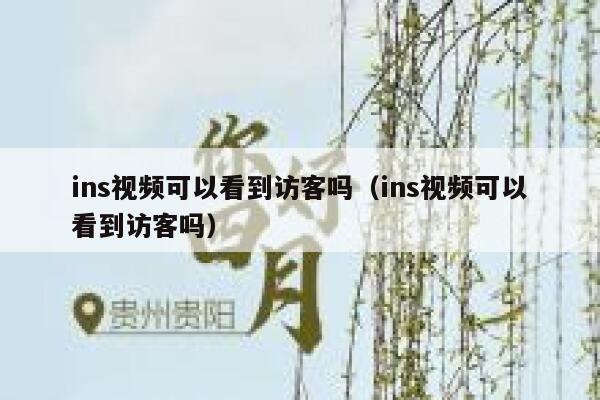 ins视频可以看到访客吗（ins视频可以看到访客吗） 第1张