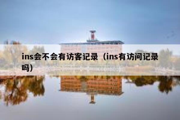 ins会不会有访客记录（ins有访问记录吗） 第1张