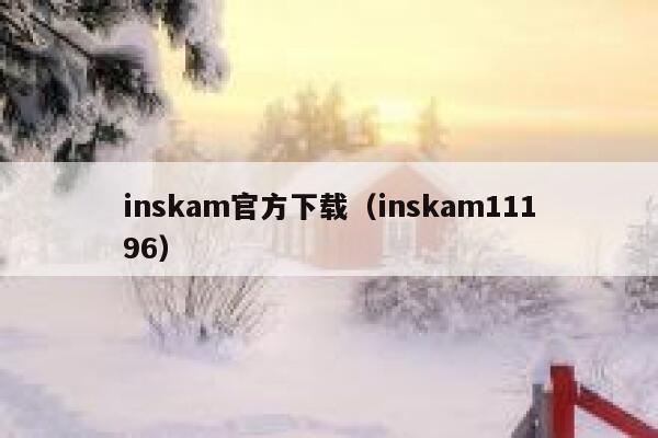 inskam官方下载(inskam11196) 第1张 inskam官方下载(inskam11196) 第1张