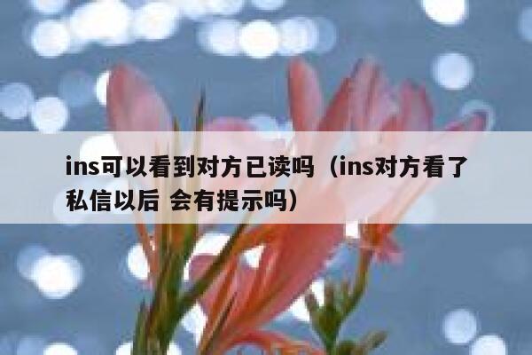 ins可以看到对方已读吗(ins对方看了私信以后 会有提示吗) 第1张 ins可以看到对方已读吗(ins对方看了私信以后 会有提示吗) 第1张