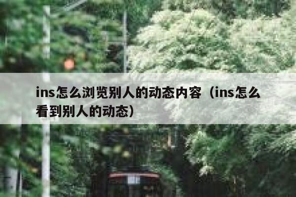ins怎么浏览别人的动态内容（ins怎么看到别人的动态） 第1张