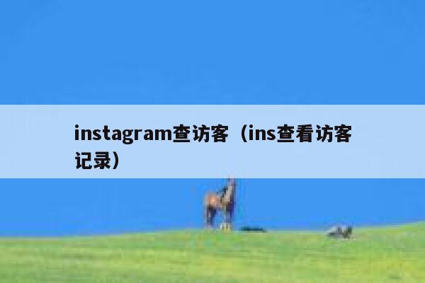 instagram查访客（ins查看访客记录） 第1张
