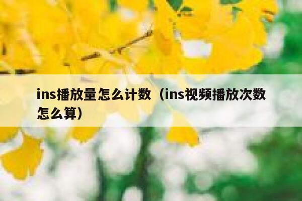 ins播放量怎么计数(ins视频播放次数怎么算) 第1张 ins播放量怎么计数(ins视频播放次数怎么算) 第1张