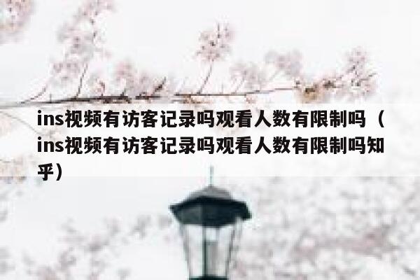 ins视频有访客记录吗观看人数有限制吗（ins视频有访客记录吗观看人数有限制吗知乎） 第1张