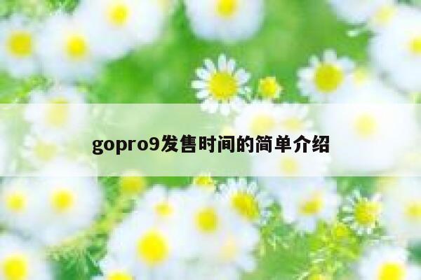 gopro9发售时间的简单介绍 第1张 gopro9发售时间的简单介绍 第1张
