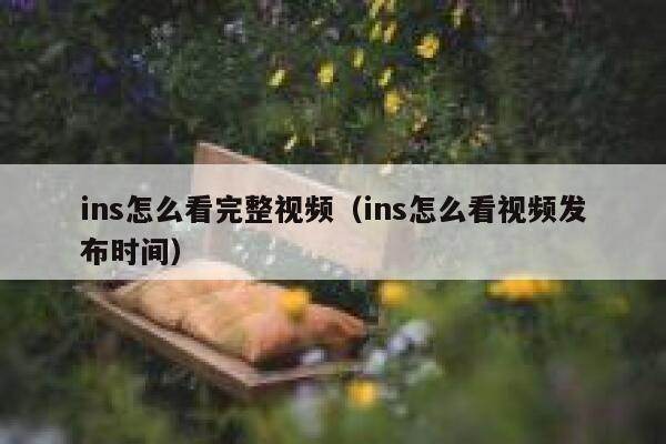 ins怎么看完整视频（ins怎么看视频发布时间） 第1张