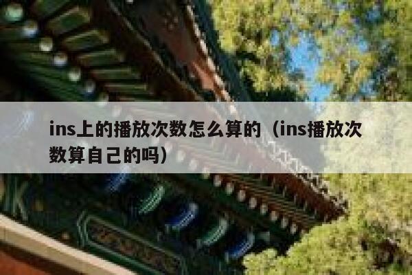 ins上的播放次数怎么算的（ins播放次数算自己的吗） 第1张