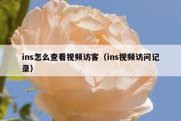ins怎么查看视频访客（ins视频访问记录） 第1张