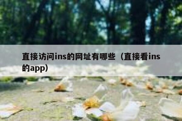 直接访问ins的网址有哪些（直接看ins的app） 第1张