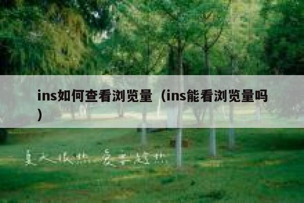 ins如何查看浏览量(ins能看浏览量吗) 第1张 ins如何查看浏览量(ins能看浏览量吗) 第1张