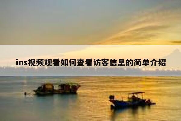 ins视频观看如何查看访客信息的简单介绍 第1张