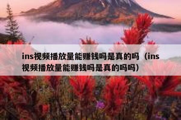 ins视频播放量能赚钱吗是真的吗（ins视频播放量能赚钱吗是真的吗吗） 第1张