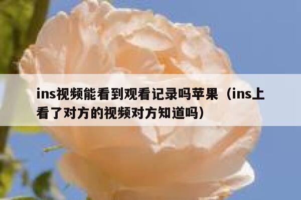ins视频能看到观看记录吗苹果(ins上看了对方的视频对方知道吗) 第1张 ins视频能看到观看记录吗苹果(ins上看了对方的视频对方知道吗) 第1张