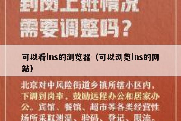 可以看ins的浏览器（可以浏览ins的网站） 第1张