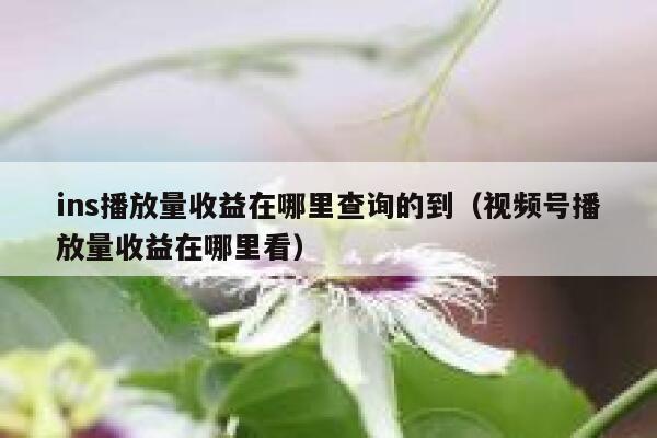 ins播放量收益在哪里查询的到（视频号播放量收益在哪里看） 第1张
