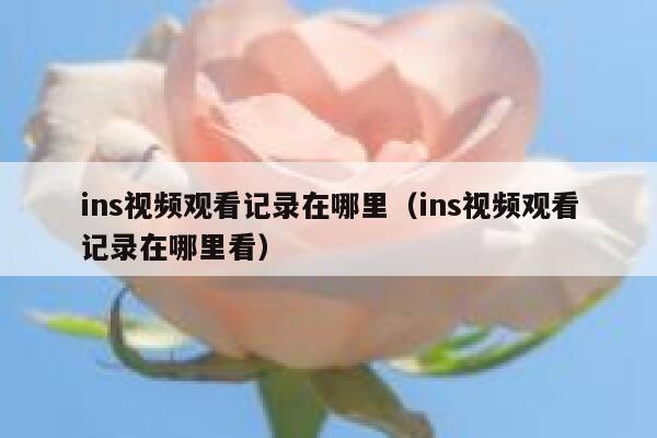 ins视频观看记录在哪里（ins视频观看记录在哪里看） 第1张