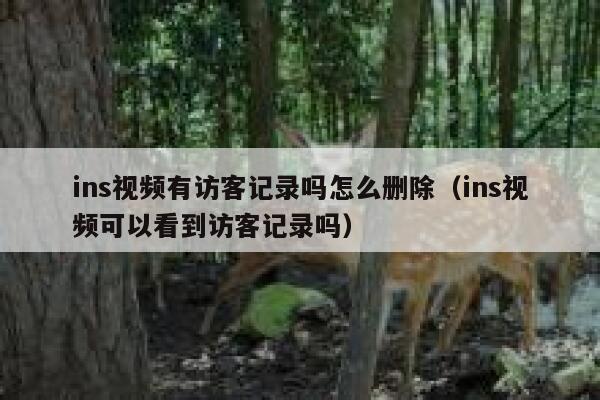 ins视频有访客记录吗怎么删除（ins视频可以看到访客记录吗） 第1张