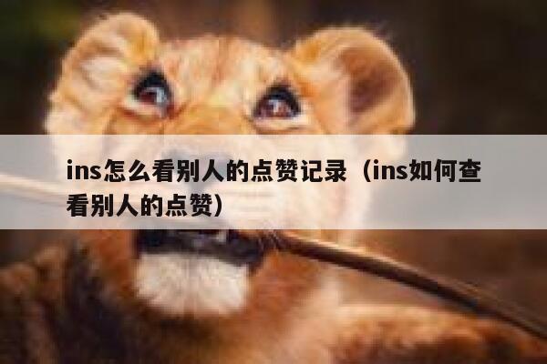 ins怎么看别人的点赞记录（ins如何查看别人的点赞） 第1张