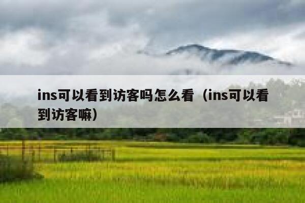 ins可以看到访客吗怎么看(ins可以看到访客嘛) 第1张 ins可以看到访客吗怎么看(ins可以看到访客嘛) 第1张