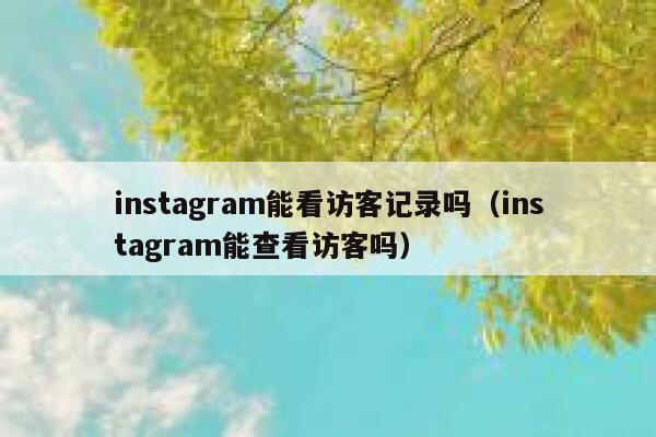 instagram能看访客记录吗(instagram能查看访客吗) 第1张 instagram能看访客记录吗(instagram能查看访客吗) 第1张