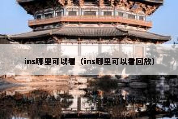 ins哪里可以看（ins哪里可以看回放） 第1张