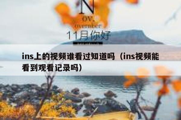 ins上的视频谁看过知道吗（ins视频能看到观看记录吗） 第1张