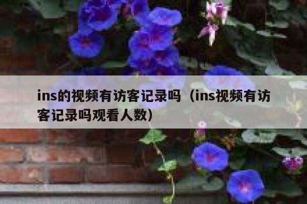 ins的视频有访客记录吗（ins视频有访客记录吗观看人数） 第1张