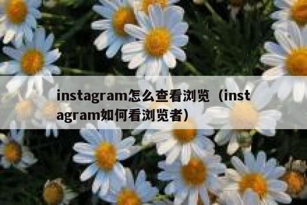 instagram怎么查看浏览（instagram如何看浏览者） 第1张