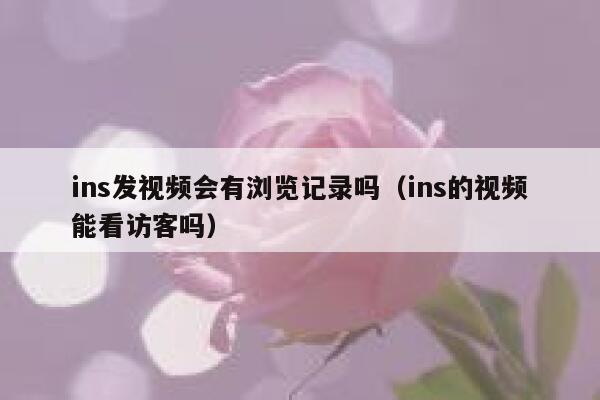 ins发视频会有浏览记录吗（ins的视频能看访客吗） 第1张