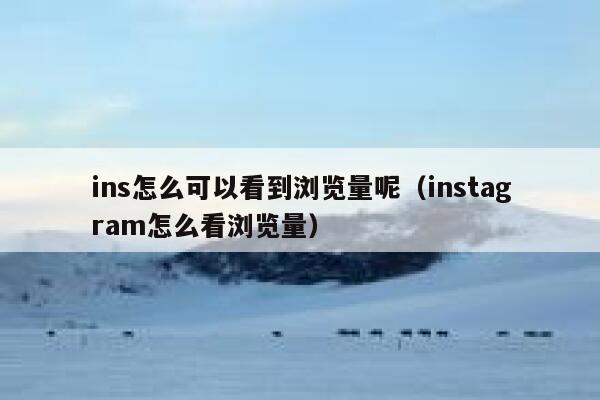 ins怎么可以看到浏览量呢（instagram怎么看浏览量） 第1张