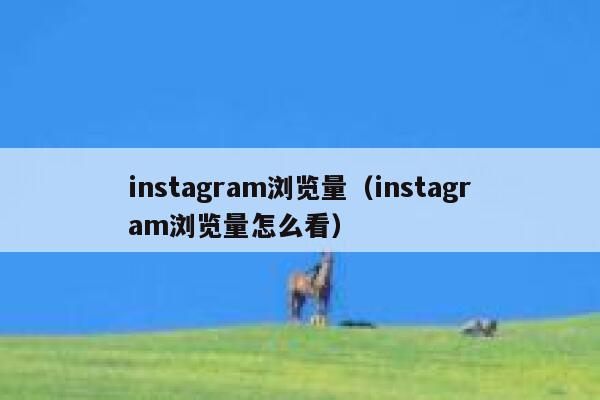 instagram浏览量（instagram浏览量怎么看） 第1张