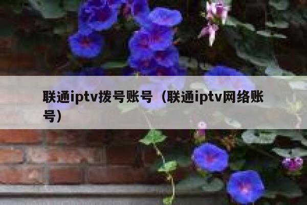 联通iptv拨号账号(联通iptv网络账号) 第1张 联通iptv拨号账号(联通iptv网络账号) 第1张