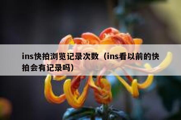 ins快拍浏览记录次数（ins看以前的快拍会有记录吗） 第1张
