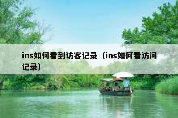 ins如何看到访客记录（ins如何看访问记录） 第1张