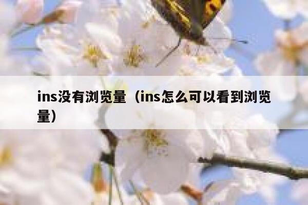 ins没有浏览量(ins怎么可以看到浏览量) 第1张 ins没有浏览量(ins怎么可以看到浏览量) 第1张