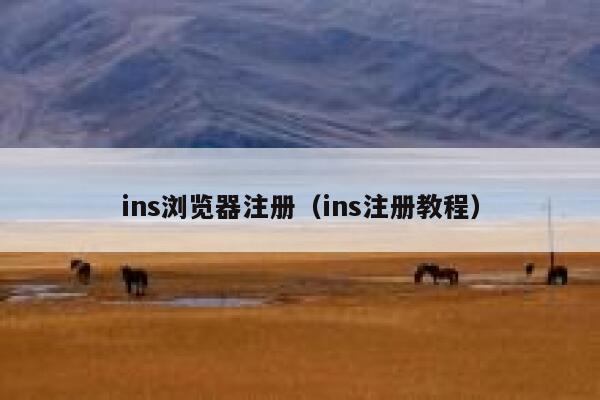 ins浏览器注册(ins注册教程) 第1张 ins浏览器注册(ins注册教程) 第1张