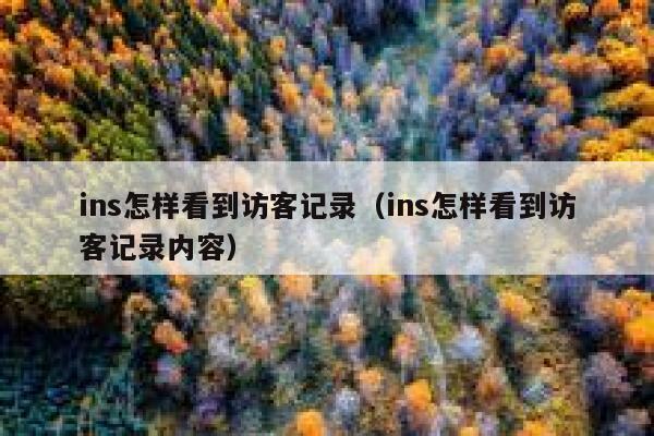 ins怎样看到访客记录(ins怎样看到访客记录内容) 第1张 ins怎样看到访客记录(ins怎样看到访客记录内容) 第1张