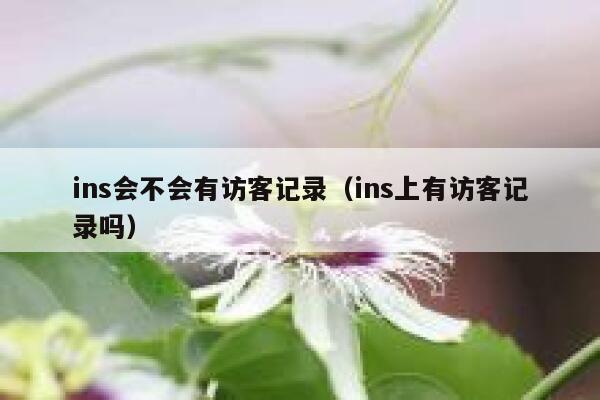 ins会不会有访客记录(ins上有访客记录吗) 第1张 ins会不会有访客记录(ins上有访客记录吗) 第1张