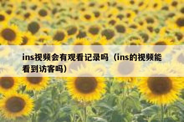ins视频会有观看记录吗（ins的视频能看到访客吗） 第1张